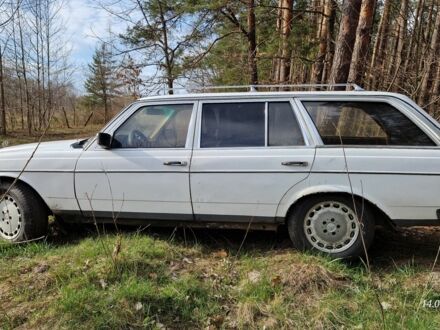 Мерседес В123 1985 в Житомире на Automoto.ua Белый Мерседес В123, объемом двигателя 2.4 л и пробегом 325 тыс. км за 2200 $, фото 1 на Automoto.ua