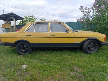Мерседес В123 1989 в Смеле на Automoto.ua Желтый Мерседес В123, объемом двигателя 0 л и пробегом 222 тыс. км за 899 $, фото 1 на Automoto.ua