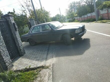 Мерседес В123 1982 в Житомире на Automoto.ua Серый Мерседес В123, объемом двигателя 2 л и пробегом 200 тыс. км за 1500 $, фото 1 на Automoto.ua
