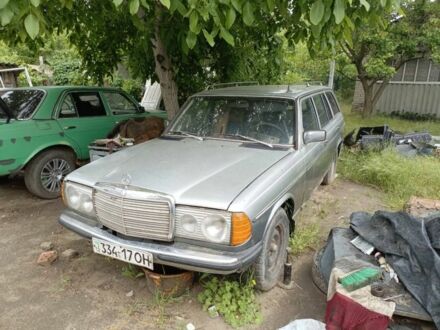 Мерседес В123 1985 в Николаеве на Automoto.ua Серый Мерседес В123, объемом двигателя 3 л и пробегом 3 тыс. км за 1500 $, фото 1 на Automoto.ua