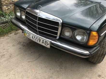 Мерседес В123 1978 у Чернівцях на Automoto.ua Зелений Мерседес В123, об'ємом двигуна 2.4 л та пробігом 402 тис. км за 1500 $, фото 1 на Automoto.ua