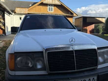 Белый Мерседес В124, объемом двигателя 2.3 л и пробегом 286 тыс. км за 1700 $, фото 1 на Automoto.ua