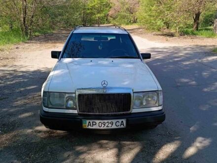 Мерседес В124 1988 у Запоріжжя на Automoto.ua Білий Мерседес В124, об'ємом двигуна 2 л та пробігом 600 тис. км за 2600 $, фото 1 на Automoto.ua