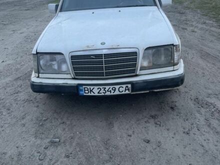 Мерседес В124 1989 у Владимирце на Automoto.ua Білий Мерседес В124, об'ємом двигуна 2 л та пробігом 302 тис. км за 1100 $, фото 1 на Automoto.ua
