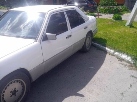 Мерседес В124 1989 в Лубнах на Automoto.ua Белый Мерседес В124, объемом двигателя 2.3 л и пробегом 100 тыс. км за 1500 $, фото 1 на Automoto.ua