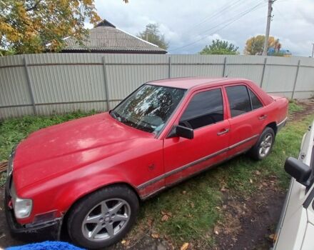 Мерседес В124 1989 в Борисполе на Automoto.ua Красный Мерседес В124, объемом двигателя 2.3 л и пробегом 300 тыс. км за 1400 $, фото 1 на Automoto.ua