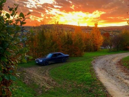 Мерседес В124 1985 у Чернівцях на Automoto.ua Сірий Мерседес В124, об'ємом двигуна 2 л та пробігом 300 тис. км за 1650 $, фото 1 на Automoto.ua