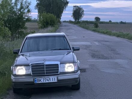 Мерседес В124 1993 в Дубно на Automoto.ua Серый Мерседес В124, объемом двигателя 3 л и пробегом 420 тыс. км за 3000 $, фото 1 на Automoto.ua