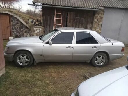 Мерседес В124 1993 у Болехове на Automoto.ua Сірий Мерседес В124, об'ємом двигуна 0 л та пробігом 350 тис. км за 2800 $, фото 1 на Automoto.ua