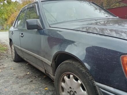 Мерседес В124 1986 в Иванкове на Automoto.ua Синий Мерседес В124, объемом двигателя 2.3 л и пробегом 9 тыс. км за 1700 $, фото 1 на Automoto.ua