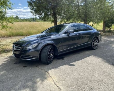 Серый Мерседес CLS серия, объемом двигателя 3 л и пробегом 310 тыс. км за 21602 $, фото 6 на Automoto.ua