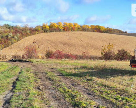 Белый Мерседес LK-Series, объемом двигателя 11.31 л и пробегом 450 тыс. км за 22500 $, фото 3 на Automoto.ua