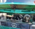 Зелений Мерседес T-Class, об'ємом двигуна 2.3 л та пробігом 459 тис. км за 1400 $, фото 9 на Automoto.ua