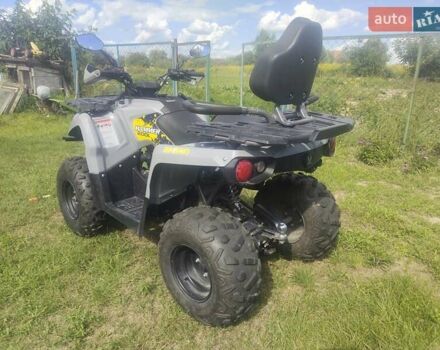 Мікілон Hamer 200L, об'ємом двигуна 0.2 л та пробігом 2 тис. км за 2019 $, фото 4 на Automoto.ua