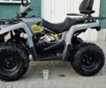 Серый Микилон Hamer 200L, объемом двигателя 0.2 л и пробегом 600 тыс. км за 2200 $, фото 10 на Automoto.ua
