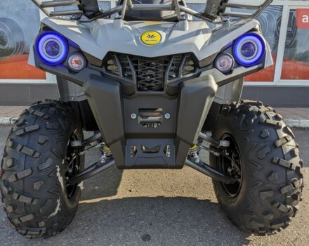 Микилон Hardy 200, объемом двигателя 0.18 л и пробегом 0 тыс. км за 2200 $, фото 3 на Automoto.ua
