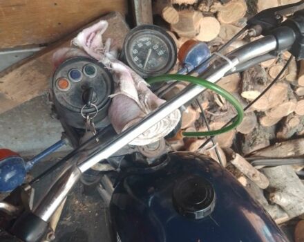 Мінськ Інша, об'ємом двигуна 0.13 л та пробігом 0 тис. км за 243 $, фото 3 на Automoto.ua