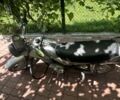 Мінськ Інша, об'ємом двигуна 0.13 л та пробігом 0 тис. км за 388 $, фото 2 на Automoto.ua