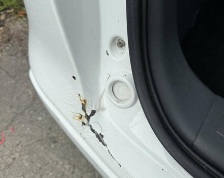 Білий Міцубісі Кольт, об'ємом двигуна 1.3 л та пробігом 168 тис. км за 3900 $, фото 7 на Automoto.ua