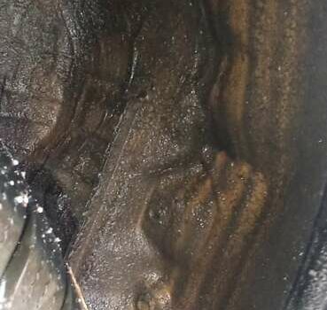 Міцубісі Кольт 2005 у Житомирі на Automoto.ua Чорний Міцубісі Кольт, об'ємом двигуна 1.33 л та пробігом 156 тис. км за 3598 $, фото 53 на Automoto.ua