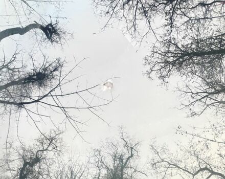 Серый Мицубиси Кольт, объемом двигателя 1.3 л и пробегом 340 тыс. км за 5000 $, фото 7 на Automoto.ua