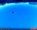 Серый Мицубиси Кольт, объемом двигателя 1.3 л и пробегом 149 тыс. км за 4650 $, фото 5 на Automoto.ua