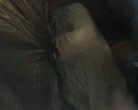 Білий Міцубісі Галант, об'ємом двигуна 0 л та пробігом 125 тис. км за 1500 $, фото 5 на Automoto.ua