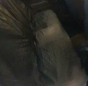 Білий Міцубісі Галант, об'ємом двигуна 1.8 л та пробігом 125 тис. км за 1500 $, фото 4 на Automoto.ua