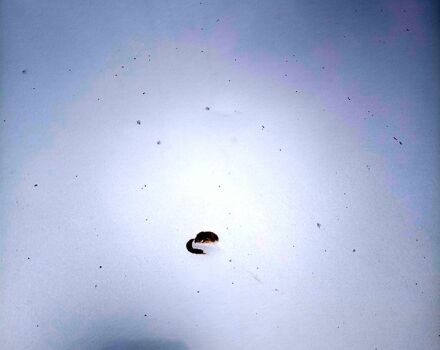 Серый Мицубиси Лансер, объемом двигателя 2 л и пробегом 243 тыс. км за 5500 $, фото 6 на Automoto.ua