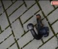 Черный Мицубиси Аутлендер, объемом двигателя 2.27 л и пробегом 236 тыс. км за 13600 $, фото 63 на Automoto.ua