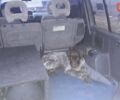 Синій Міцубісі Паджеро, об'ємом двигуна 3 л та пробігом 22 тис. км за 8500 $, фото 14 на Automoto.ua