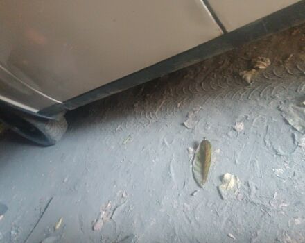 Білий Москвич / АЗЛК 410, об'ємом двигуна 0 л та пробігом 400 тис. км за 502 $, фото 8 на Automoto.ua