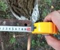Красный Мотор-Сич МБ-9, объемом двигателя 0 л и пробегом 10 тыс. км за 1937 $, фото 2 на Automoto.ua