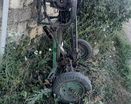 Муравей Другая, объемом двигателя 0 л и пробегом 0 тыс. км за 39 $, фото 1 на Automoto.ua