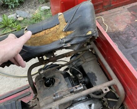 Муравей Інша, об'ємом двигуна 0 л та пробігом 0 тис. км за 533 $, фото 2 на Automoto.ua