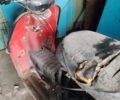 Муравей М2, объемом двигателя 0 л и пробегом 1 тыс. км за 359 $, фото 3 на Automoto.ua