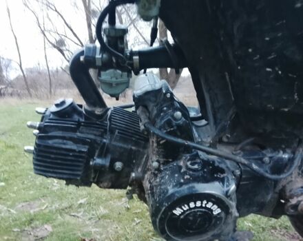 Мустанг 110, об'ємом двигуна 0.11 л та пробігом 0 тис. км за 309 $, фото 4 на Automoto.ua