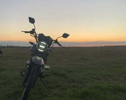 Мустанг Альфа 2021 у Броварах на Automoto.ua Коричневий Мустанг Альфа, об'ємом двигуна 0 л та пробігом 3 тис. км за 530 $, фото 1 на Automoto.ua