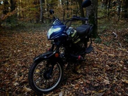 Мустанг Alfa Fit MT 125-8 2024 в Золочеве на Automoto.ua Мустанг Alfa Fit MT 125-8, объемом двигателя 0 л и пробегом 955 тыс. км за 723 $, фото 1 на Automoto.ua