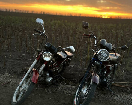 Красный Мустанг Alfa MT 125-2, объемом двигателя 0.12 л и пробегом 15 тыс. км за 639 $, фото 3 на Automoto.ua