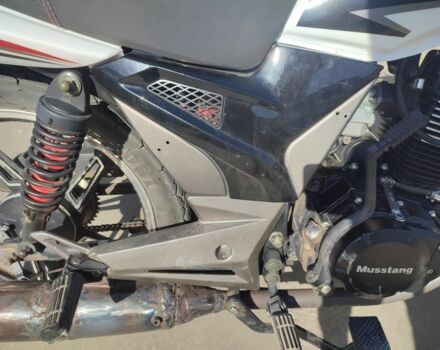 Білий Мустанг Інша, об'ємом двигуна 0.2 л та пробігом 0 тис. км за 648 $, фото 6 на Automoto.ua