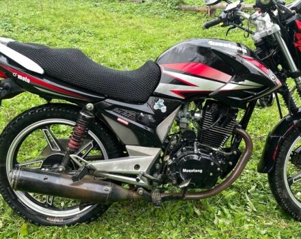 Мустанг Другая, объемом двигателя 0.2 л и пробегом 0 тыс. км за 713 $, фото 2 на Automoto.ua