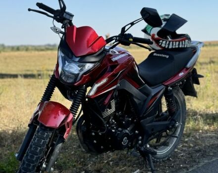 Мустанг Другая, объемом двигателя 0.2 л и пробегом 0 тыс. км за 919 $, фото 4 на Automoto.ua