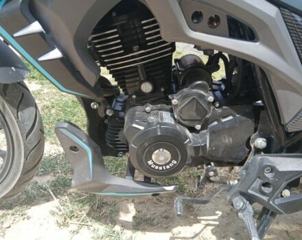 Мустанг Другая, объемом двигателя 0.2 л и пробегом 0 тыс. км за 1162 $, фото 6 на Automoto.ua