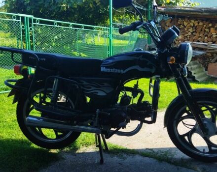 Мустанг Інша, об'ємом двигуна 4.25 л та пробігом 0 тис. км за 500 $, фото 5 на Automoto.ua