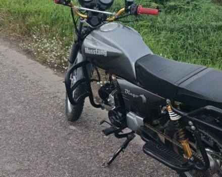 Мустанг Інша, об'ємом двигуна 0.13 л та пробігом 0 тис. км за 25 $, фото 6 на Automoto.ua