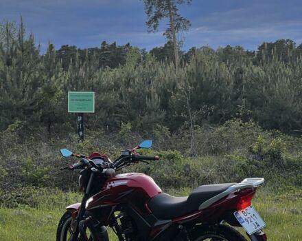 Мустанг Інша, об'ємом двигуна 0.2 л та пробігом 0 тис. км за 1000 $, фото 2 на Automoto.ua