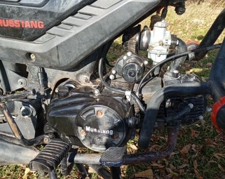 Мустанг Інша, об'ємом двигуна 0.13 л та пробігом 0 тис. км за 477 $, фото 5 на Automoto.ua