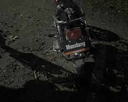 Мустанг Другая, объемом двигателя 0.11 л и пробегом 0 тыс. км за 289 $, фото 4 на Automoto.ua