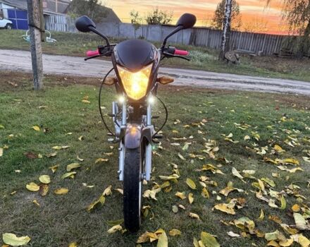 Мустанг Інша, об'ємом двигуна 0.15 л та пробігом 0 тис. км за 525 $, фото 7 на Automoto.ua